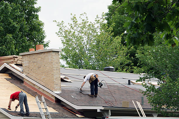 Roof Gutter Cleaning in La Grande, OR